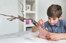 Φόρτωση εικόνας στο εργαλείο προβολής Συλλογής, Κατασκευή Ανασκαφή Πτερανόδοντας 4M Toys